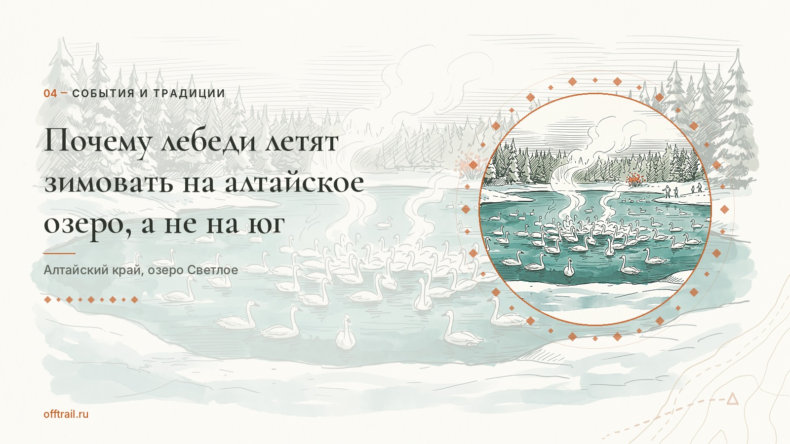Почему лебеди летят зимовать на алтайское озеро, а не на юг